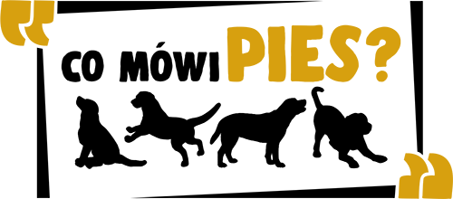 Co Mówi Pies